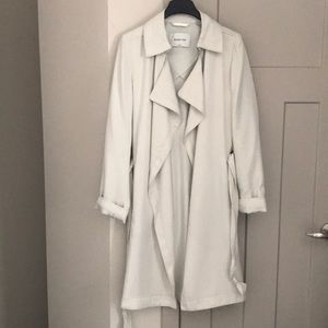 Aritzia Babaton Maximo Trench